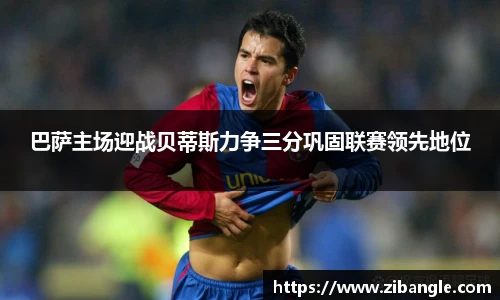 bsports官网入口