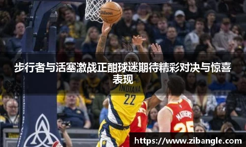 B体育bsports