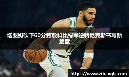 bsports官网入口